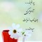 ali niazy