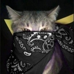 𝓢𝔃𝓽𝔂𝓸𝓹𝓪❤️‍🔥