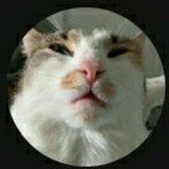 Alessandro Perantoni