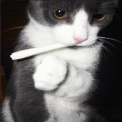 Ras