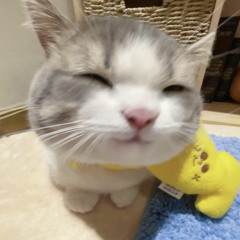 ✧︎*。
