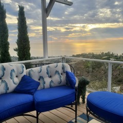 The Young Train Conductor