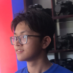 duckhoi40
