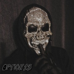 Option 13