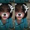 mzinxweng