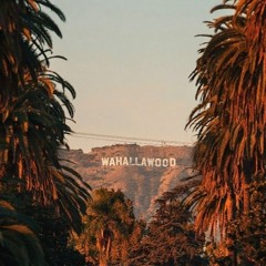 Wahallawood Hz™