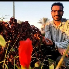 Mohamed Elsayed Khedr
