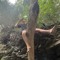 Gage