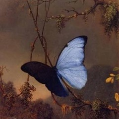 ludovico