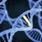 show me ur gene
