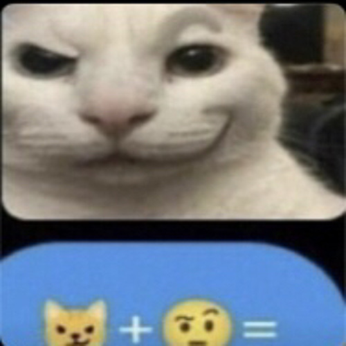 rizz cat’s avatar