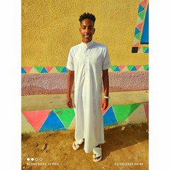mohamed Bin Awad
