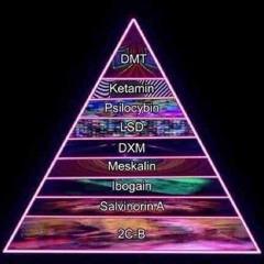 개하이 이거 뭐야 시발