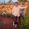 ibrahim trisi