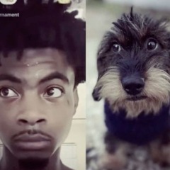 peter#freeRioDeJaneiro