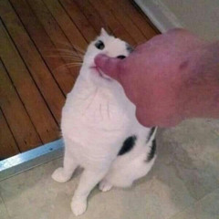 llhyzhy