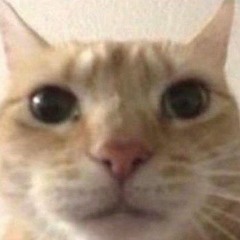 ;/