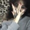 karry