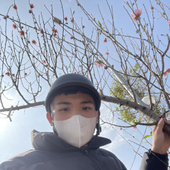 huyanh
