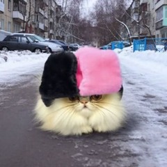 nastoyashchiy tomassssss