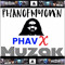 PHAV X