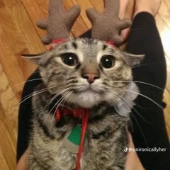 Itz_kitty!!>:3