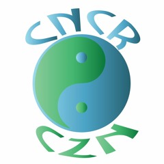 CNCR CZN