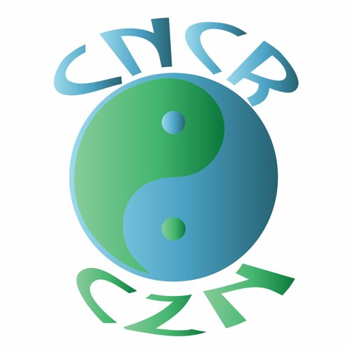 CNCR CZN’s avatar