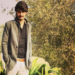 Basit Wali