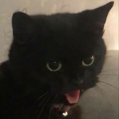 darkangelyoshiii