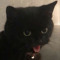 darkangelyoshiii
