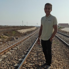 hesham adel