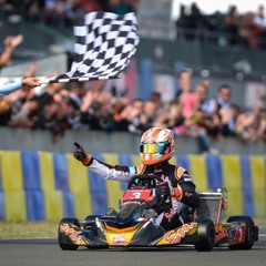 MaxVerstappen33