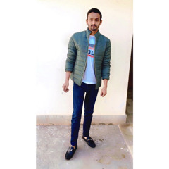 Ali Husnain