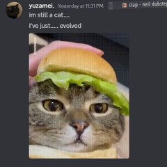 yuzamei.