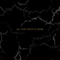 [AYNID] ALL YOU NEED IS DARK