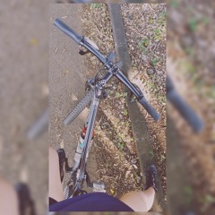 Chris Bike