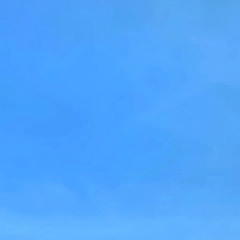 38993889