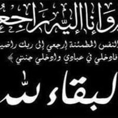محي الشرقاوي