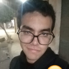 Mohamed Amr IV