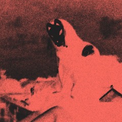 amato