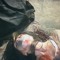 dead dreams