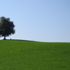 Wickletishold