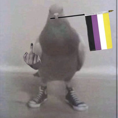 T.