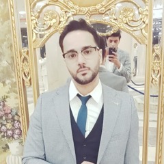 ashraf elmanakhly
