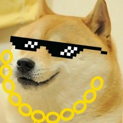 BigDogi