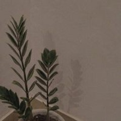 Rizkymr Muhamad Raihan