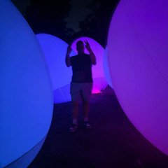 K I N G S L E Y O V E R T O N