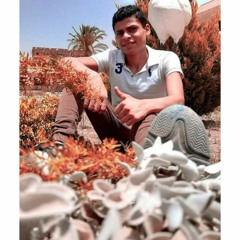 Basha Masr