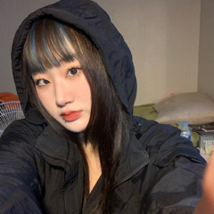 한미니